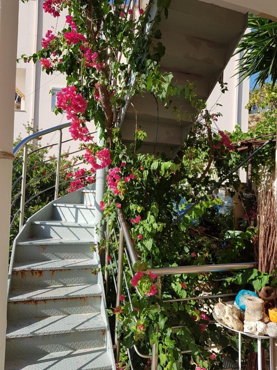 ★ Meniko's House ★ Amazing Sea View Himare